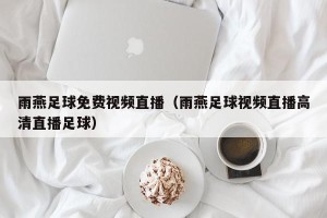 雨燕足球免费视频直播（雨燕足球视频直播高清直播足球）