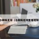 小蜘蛛足球（小蜘蛛足球直播视频）